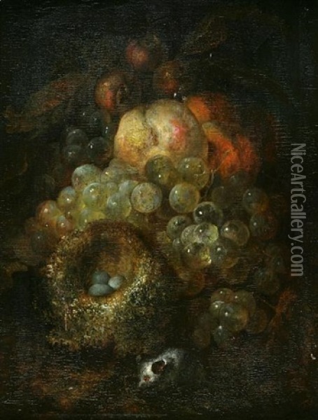 A Still Life With Grapes, A Bird's Nest And A Mouse Oil Painting - Jan Mortel