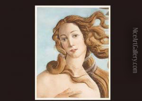 Birth Of Venus Oil Painting - Sandro Botticelli