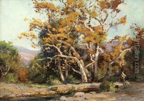 Sycamores - Irvine Park Oil Painting - Anna Althea Hills