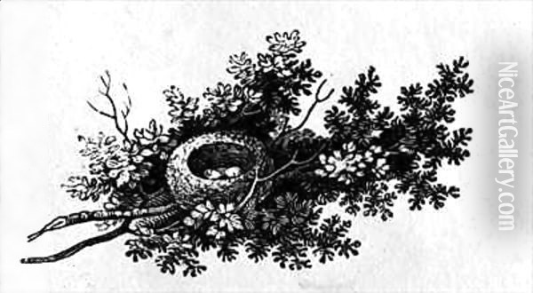 Bird's Nest, from the 'History of British Birds' Volume I Oil Painting - Thomas Falcon Bewick