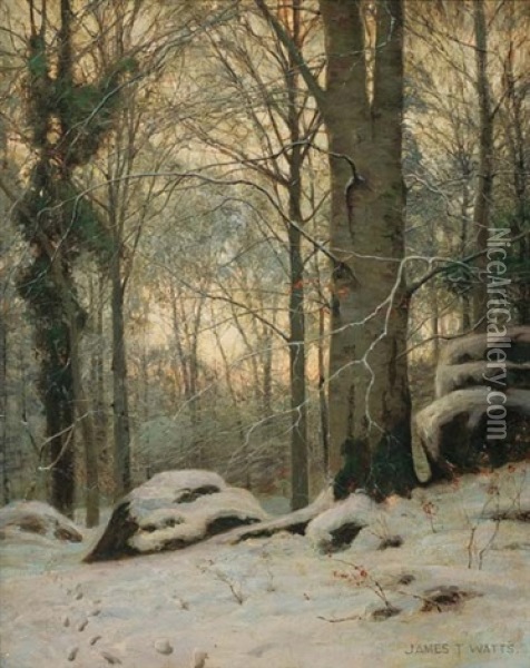 Snow In A Welch Wood Oil Painting - James Thomas Watts