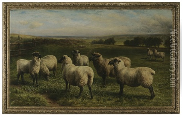 Sheep Grazing In A Panoramic Landscape Oil Painting - Charles Jones