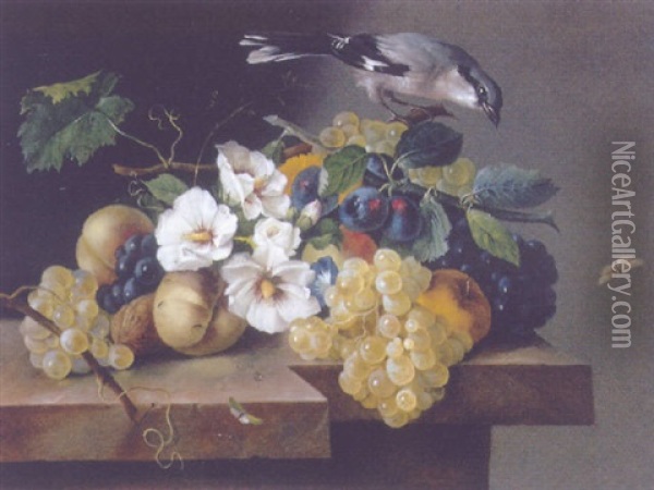 Blumen Und Fruchtestilleben Mit Einem Vogel Oil Painting - Franz Xaver Petter