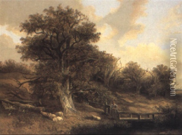 In Kimberley Park, Norfolk Oil Painting - David Hodgson