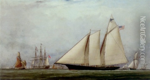 The Schooner Yacht 