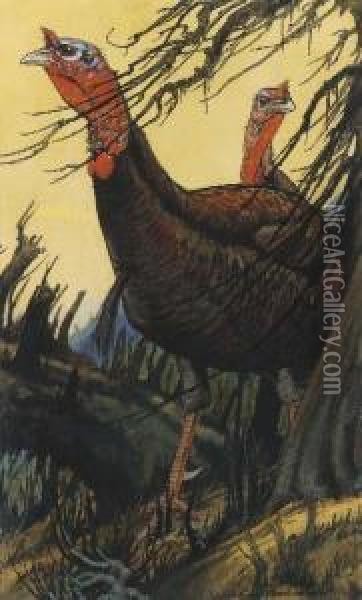 Two Turkeys Oil Painting - Charles Livingston Bull