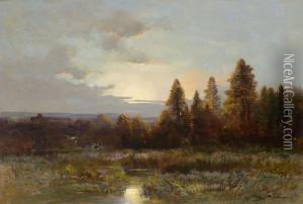 Enten In Aulandschaft Bei Morgendammerung Oil Painting - Moritz Muller
