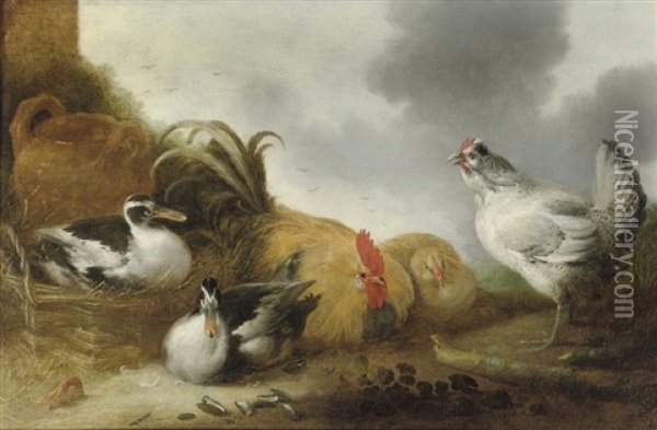 A Rooster, Chickens And Ducks In A Landscape Oil Painting - Gillis Claesz De Hondecoeter