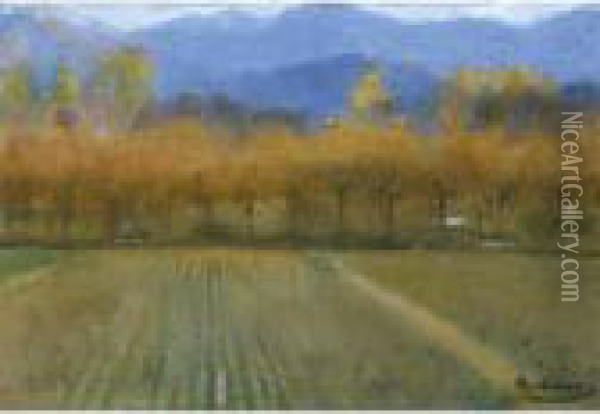 Paisaje Otonal De San Benet De Bages (autumn Landscape, San Benet De Bages) Oil Painting - Ramon Casas Y Carbo