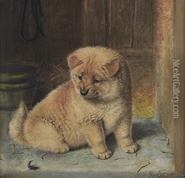 A Strange Visitor, A Chow Chow Puppy Oil Painting - Horatio Henry Couldery