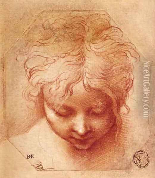 Study of a Head Oil Painting - Girolamo Francesco Maria Mazzola (Parmigianino)