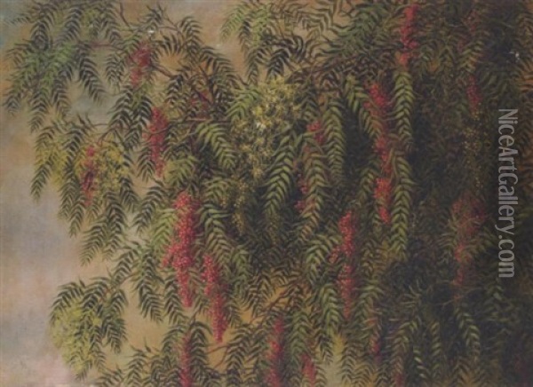 A Blossoming Pepper Tree Oil Painting - Ellen Francis Burpee Farr