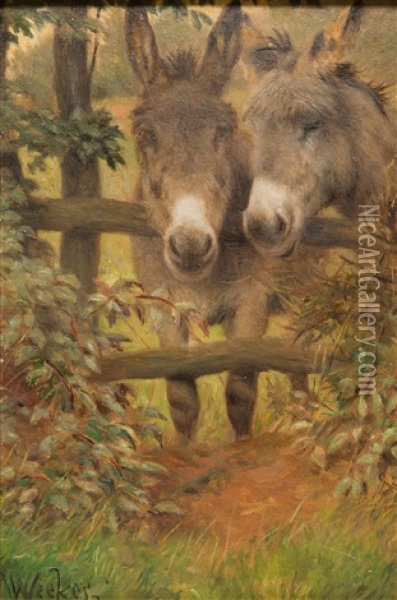 Two Donkeys Oil Painting - William Weekes