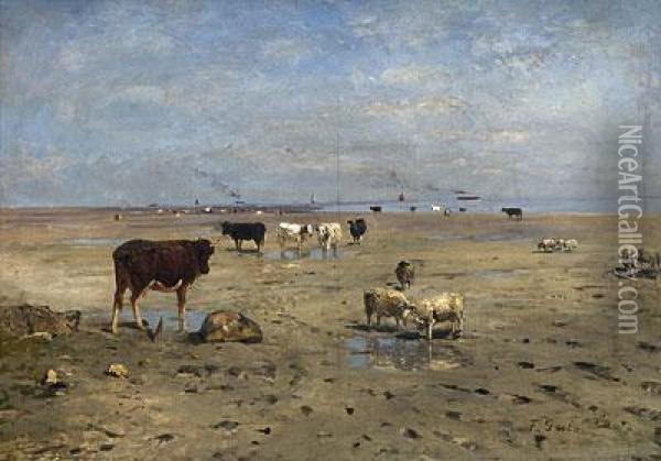 Rinder Und Schafe Auf Den Salzwiesen Oil Painting - Greben