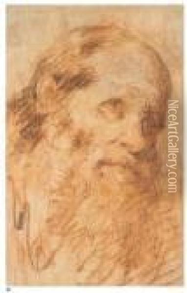 Testa Di Vecchio Oil Painting - Giovanni Battista Tiepolo
