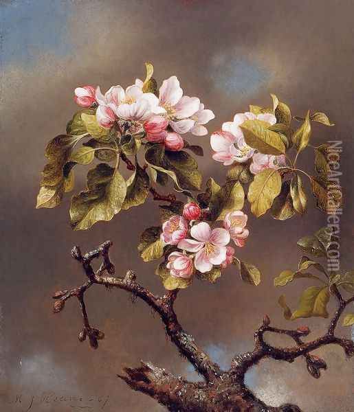 Branch Of Apple Blossoms Against A Cloudy Sky Oil Painting - Martin Johnson Heade