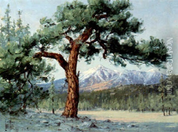 Landscape Oil Painting - Louis B. Akin