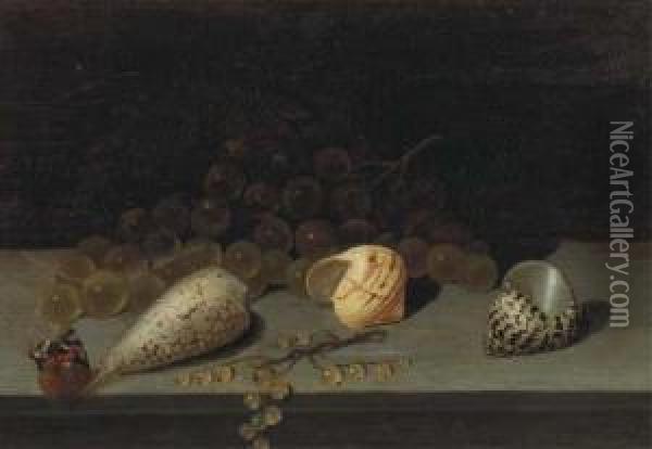 Shells, A Brunch Of White Grapes, White Currants And A Butterfly Ona Ledge Oil Painting - Balthasar Van Der Ast