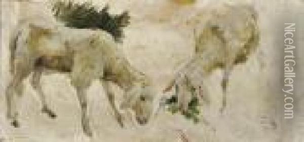 Pecore Brucanti Olio Sucartone Cm.51x22 Allegata Perizia Di V.rochiero Oil Painting - Ernesto Rayper