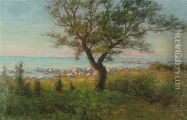 Afton Vid Havet - Strandlandskap Med Trad Oil Painting - Per Ekstroem