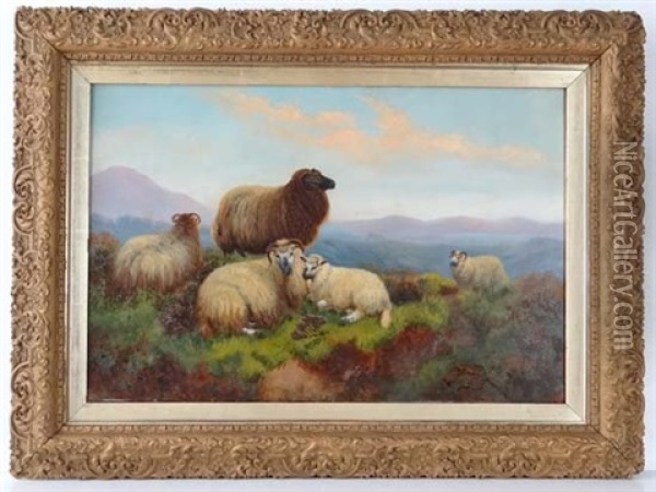 Sheep On The Moor Oil Painting - John Shirley Fox