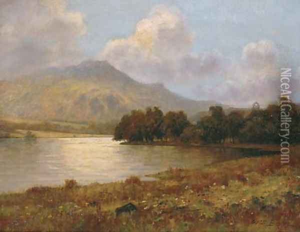 Loch Achray, Trossachs, Scotland Oil Painting - William Barr