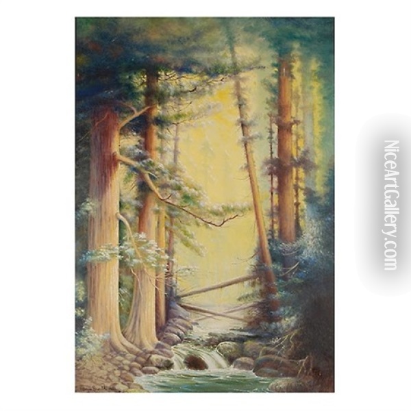 Redwoods Oil Painting - Edna Gamble