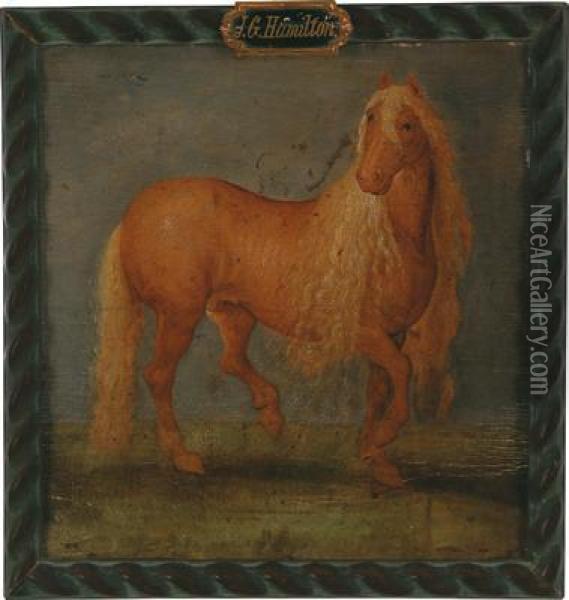 Ritratto Di Cavallo Oil Painting - Andries Jacobsz. Stock