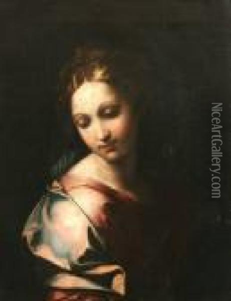 Saint In Rose Colored Dress Oil Painting - Annibale Carracci