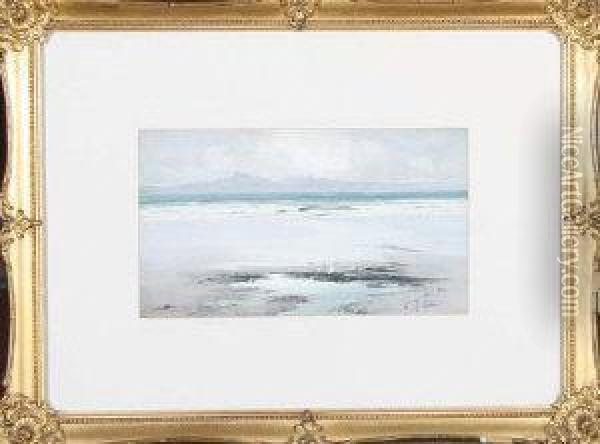 Gulls On A Beach Oil Painting - Thomas Swift Hutton