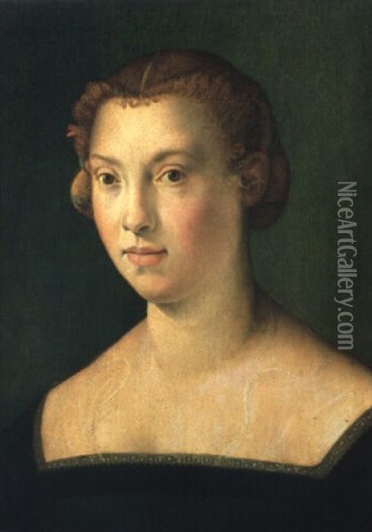 Portrait Of A Lady Oil Painting -  Bronzino