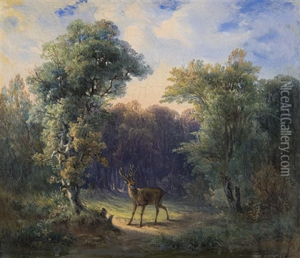 Hirsch Auf Der Lichtung Oil Painting - Gustav Zick