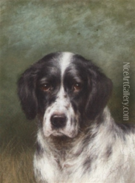 The Head Of An English Setter Oil Painting - Tom Heywood