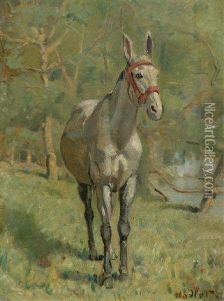 Mule In A Spanish Landscape Oil Painting - Ferdinand Hodler
