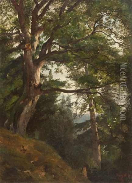 Eiche Im Park Von Burgk (?) Oil Painting - Friedrich Preller the Younger