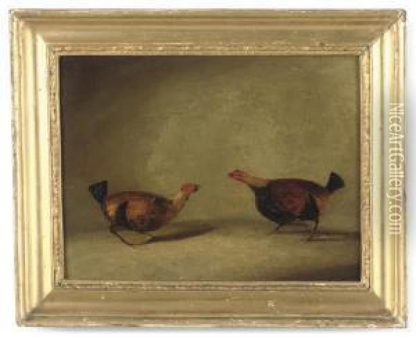 Cock Fighting Oil Painting - Hilton L. Pratt