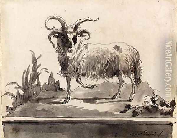 A ram walking to the left Oil Painting - Giovanni Domenico Tiepolo