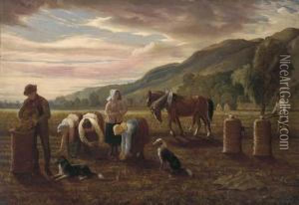 The Potato Pickers Oil Painting - Hugh Collins