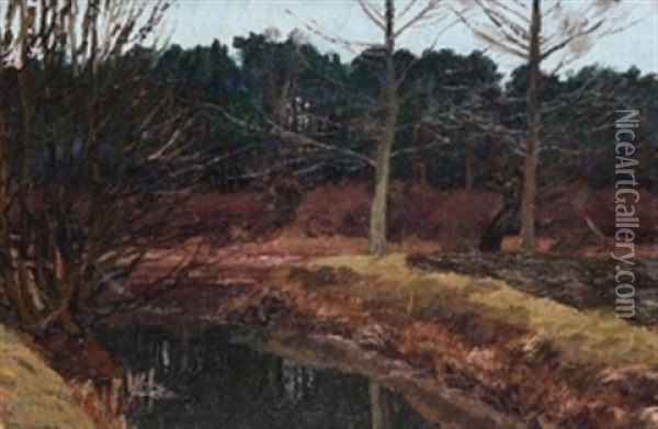 Wasser Vor Dunklem Wald Oil Painting - Adolf des Coudres