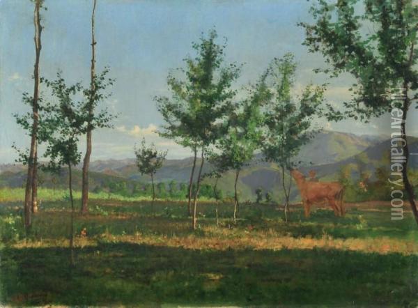 Paesaggio Presso Mondovi Oil Painting - Giovanni Battista Quadrone