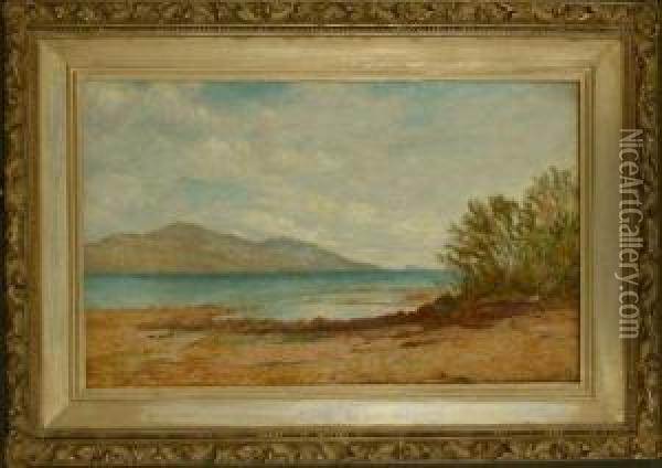 View Of A Lake Oil Painting - John William Hill