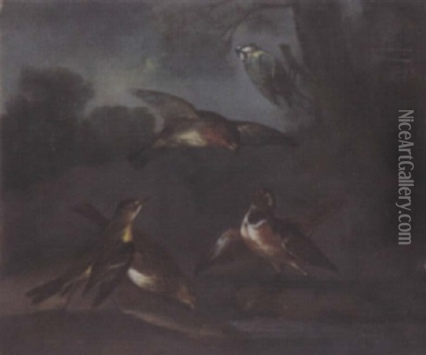 Songbirds Drinking From A Pool In A Landscape Oil Painting - Philipp Ferdinand de Hamilton