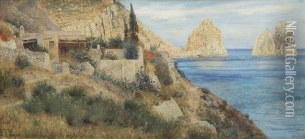 Coastal Scene From Capri With The Faraglioni Oil Painting - Max Merker