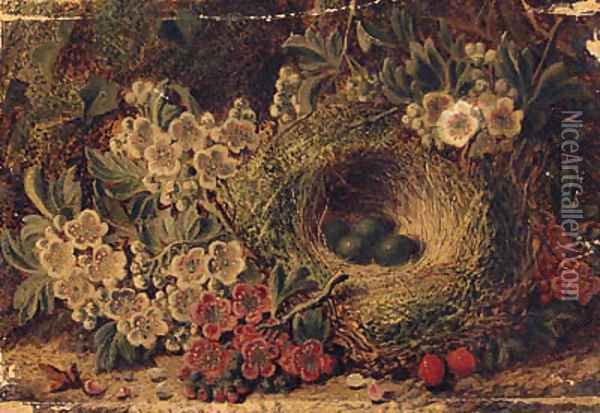 Apple Blossom And Eggs In A Bird'S Nest On A Mossy Bank Oil Painting - George Clare
