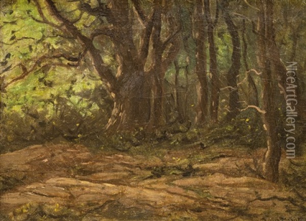 V Lese Oil Painting - Julius Eduard Marak