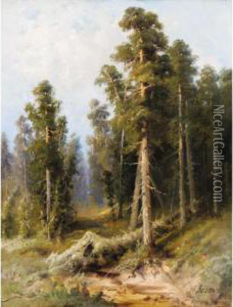 Forest With Wind-felled Trees Oil Painting - Alexander Petrovich Apsit