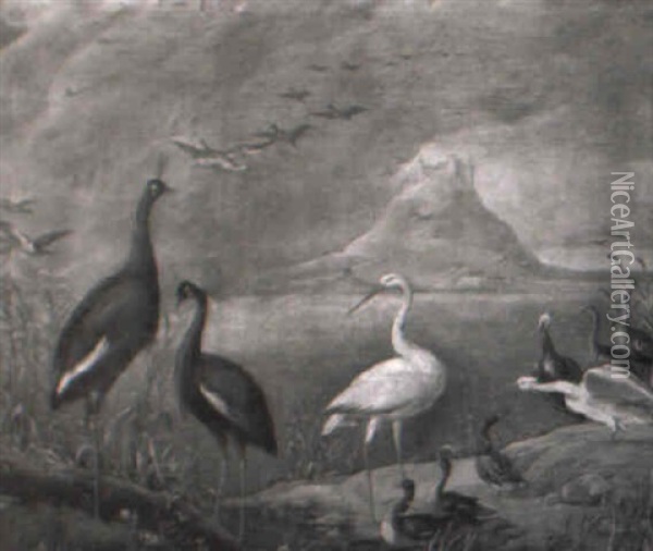 Cigogne Et Autres Oiseaux Dans Un Paysage De Lacs Oil Painting - Jan van Kessel the Elder