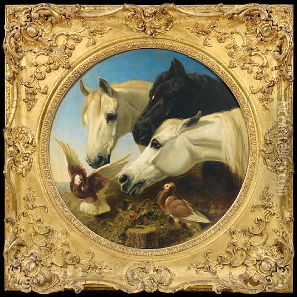 Horses And Doves At A Trough Oil Painting - John Frederick Herring Snr