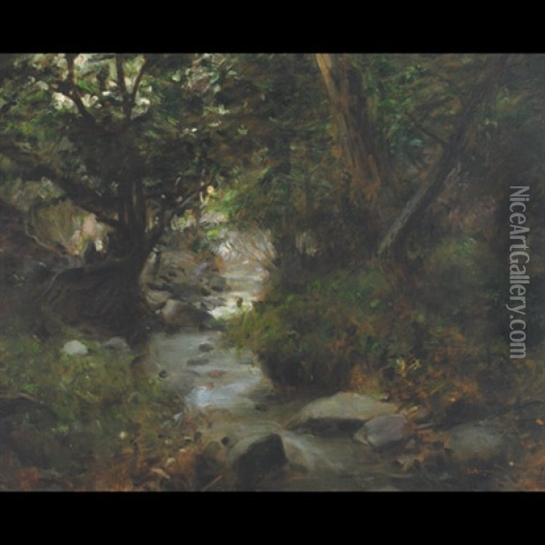 A Forest Stream Oil Painting - Gyula Glatter
