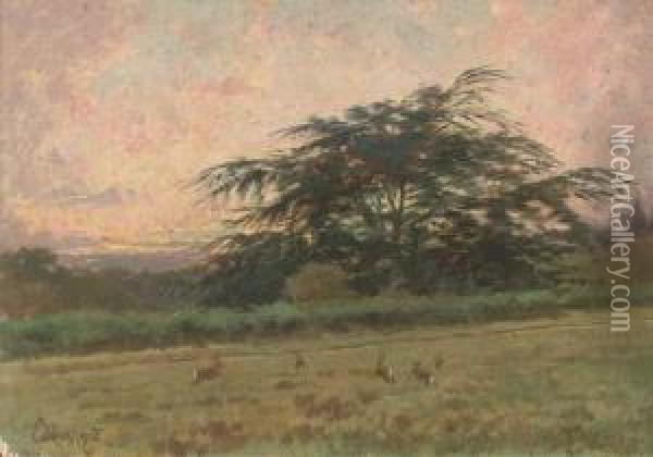 Bunnies At Dawn Oil Painting - P.E. Rischgitz